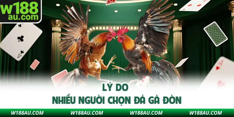 Lý do nhiều người chọn đá gà đòn