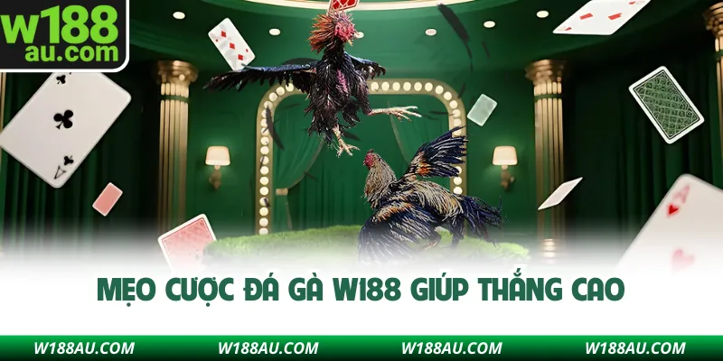 Mẹo cược đá gà W188 giúp thắng cao